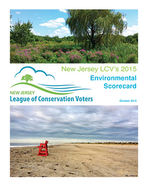 Graphic of the NJLCV Legislative Scorecard cover